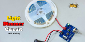 Light and motor dimmer circuit